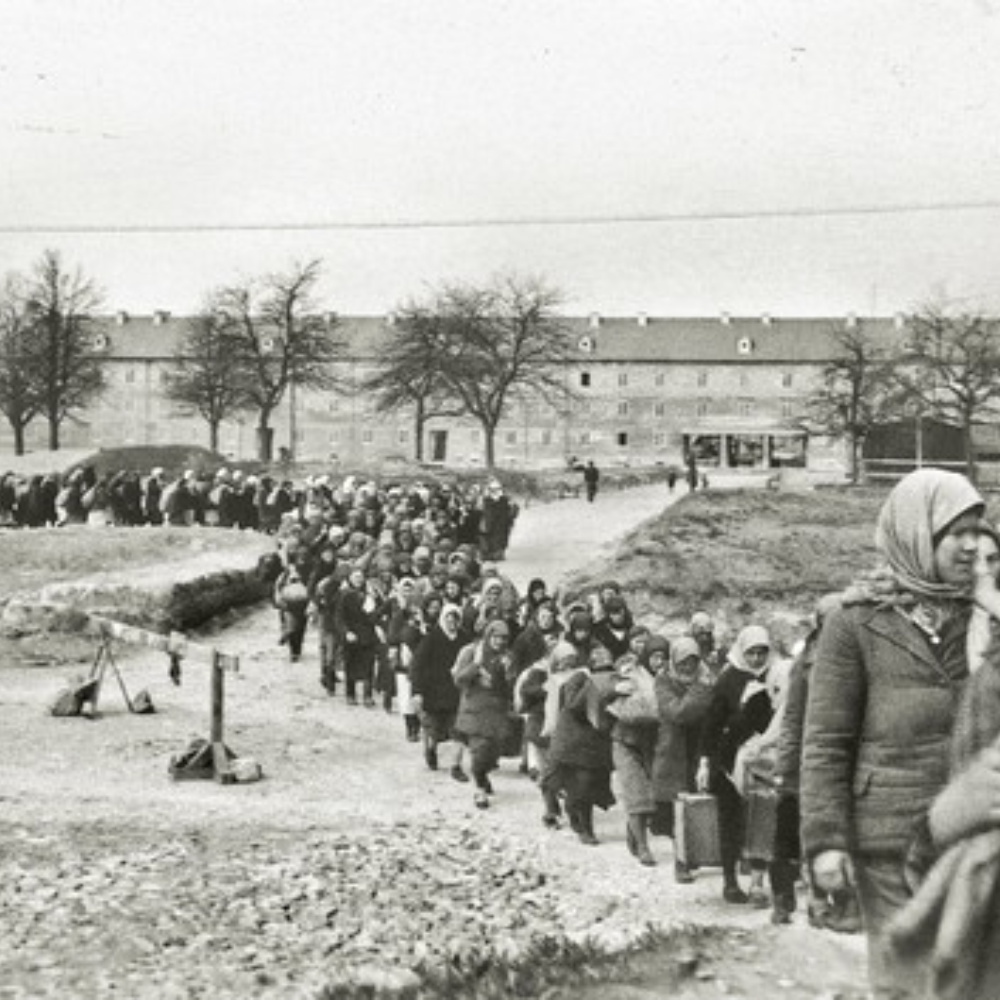 Wanderausstellung Zwangsarbeit